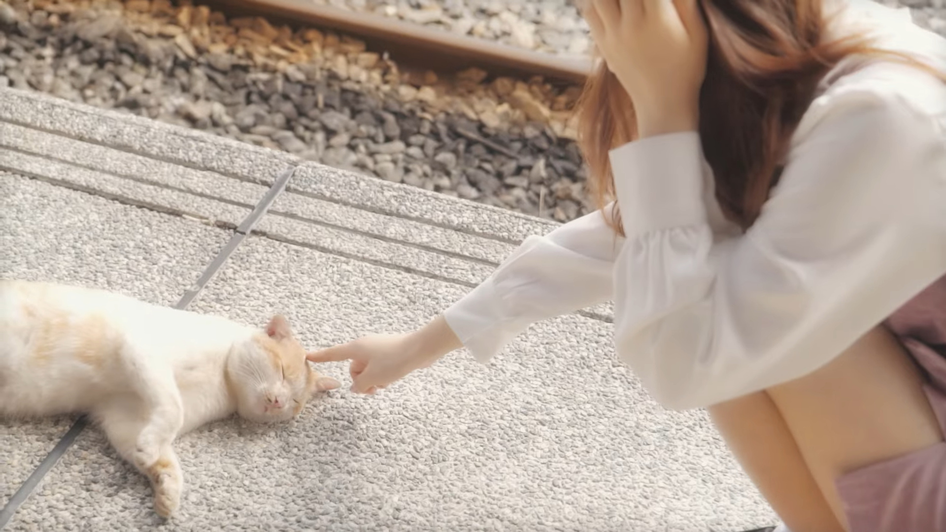 Haseul petting a cat.